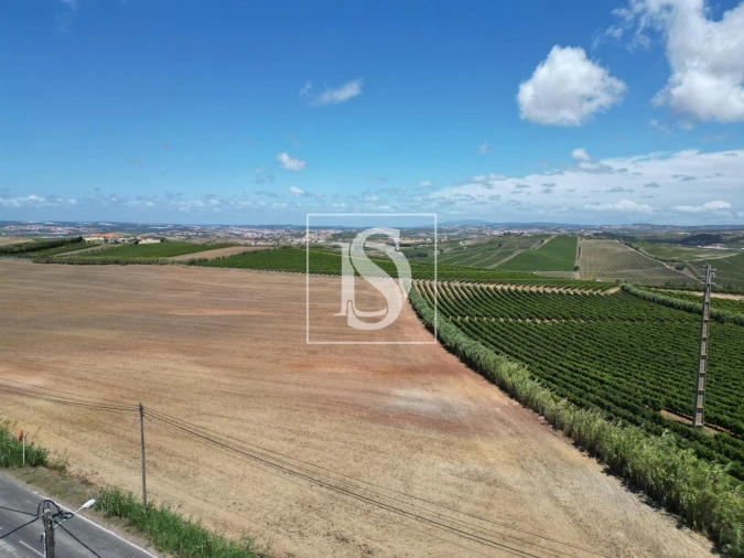 Moradia T4 para Venda em Encarnação Foto 20