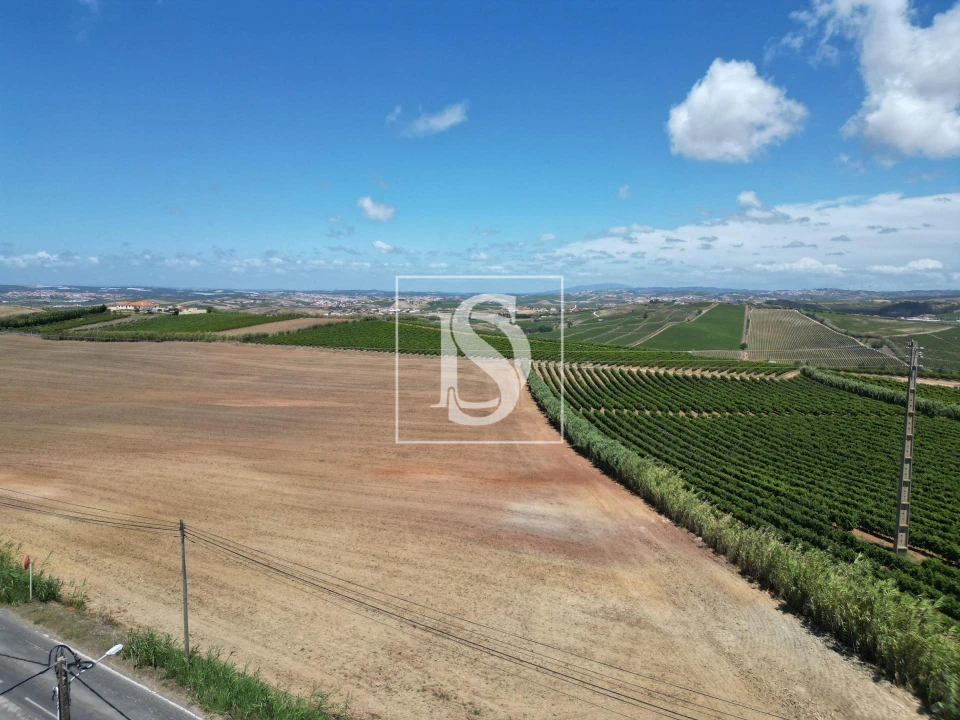 Moradia T4 para Venda em Encarnação Foto 20