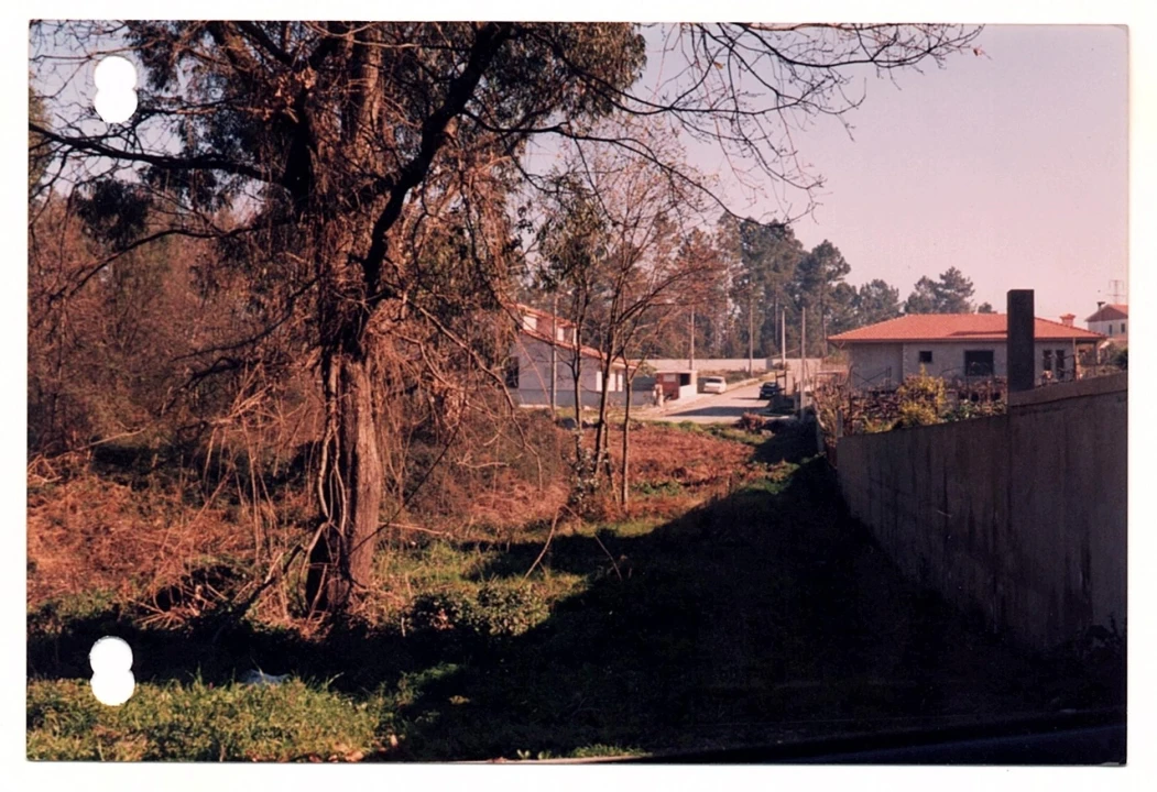 Terreno para Venda em Landim Foto 1