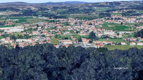 Terreno para Venda em Landim