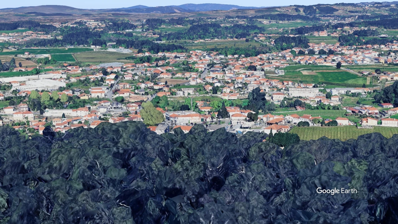 Terreno para Venda em Landim Foto 20