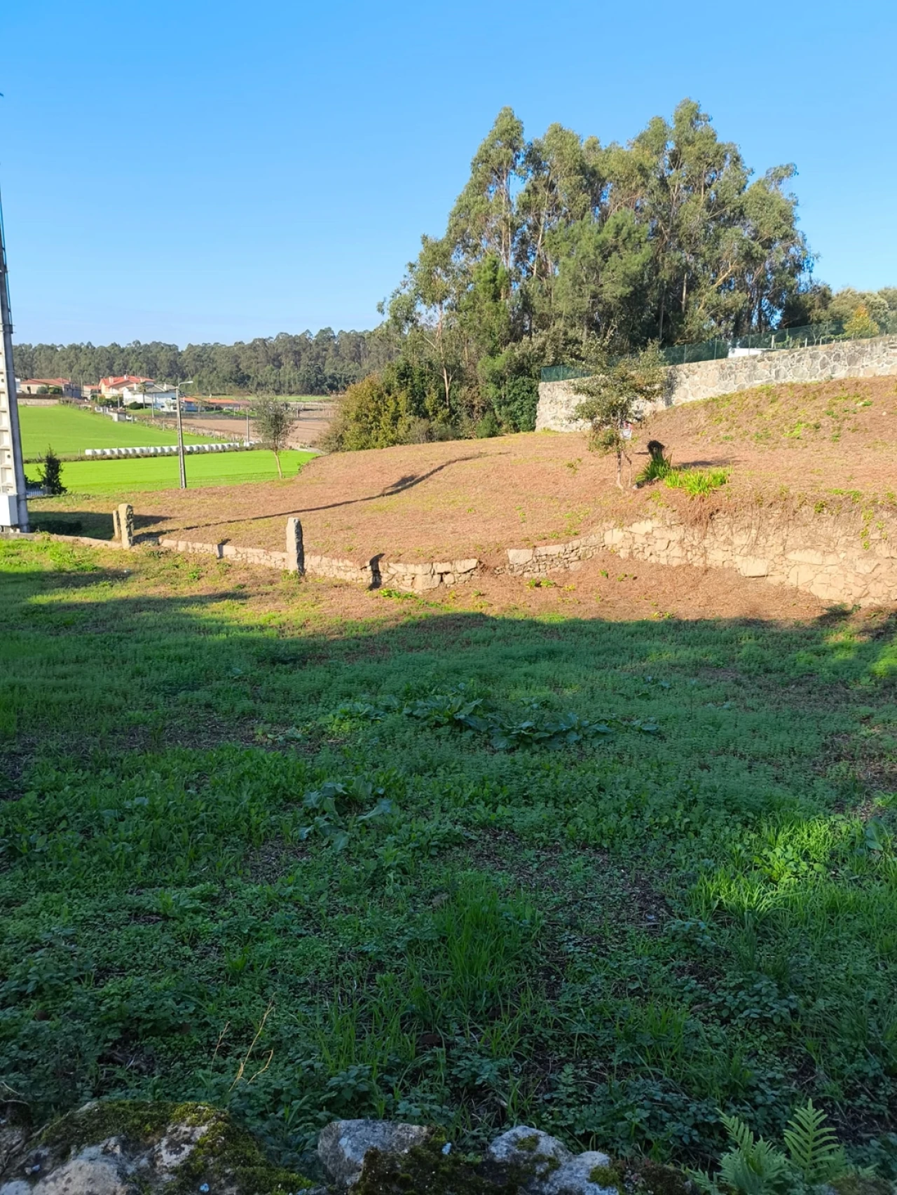 Terreno para Venda em Chorente, Góios, Courel, Pedra Furada e Gueral Foto 22