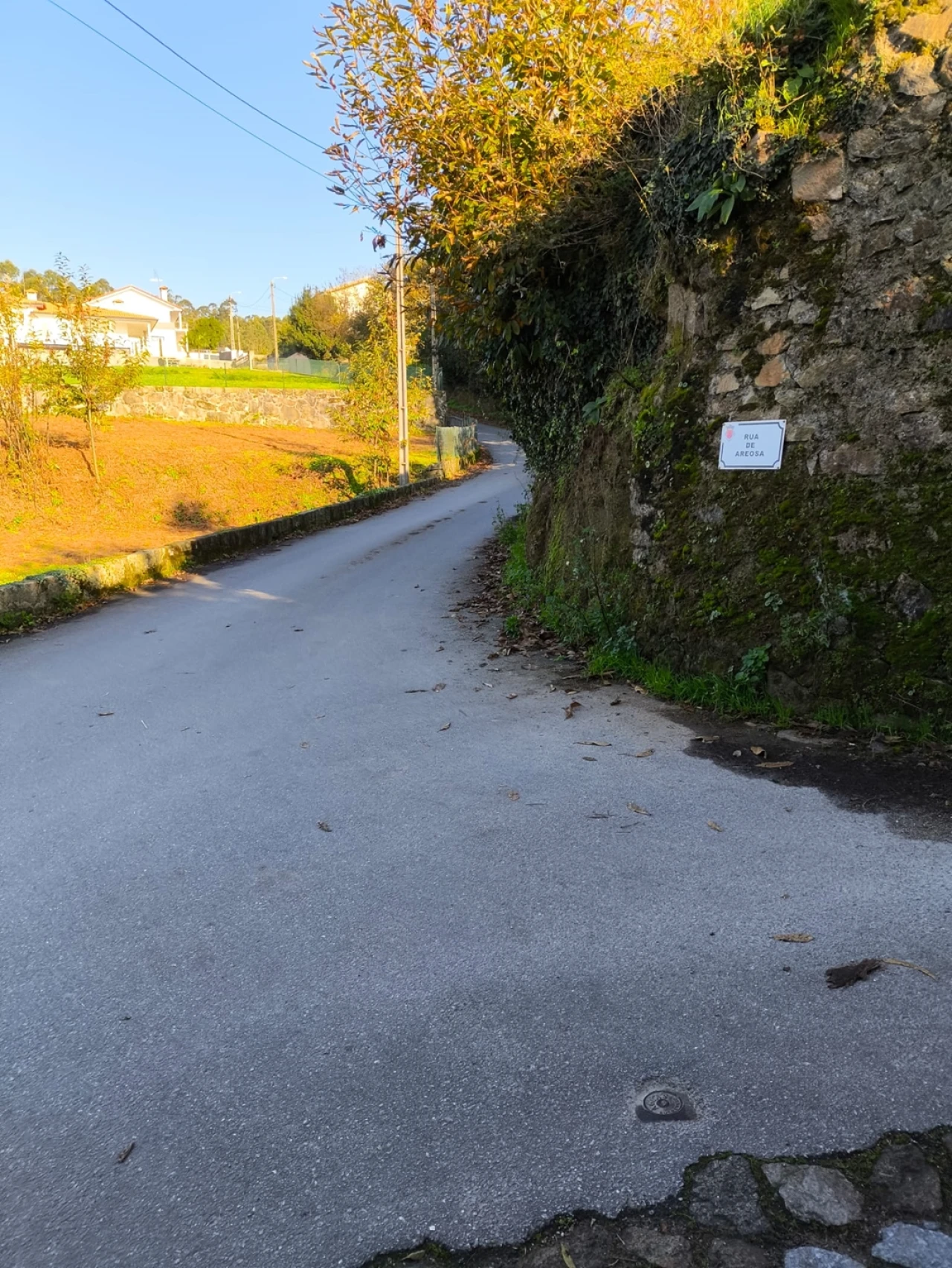 Terreno para Venda em Chorente, Góios, Courel, Pedra Furada e Gueral Foto 16