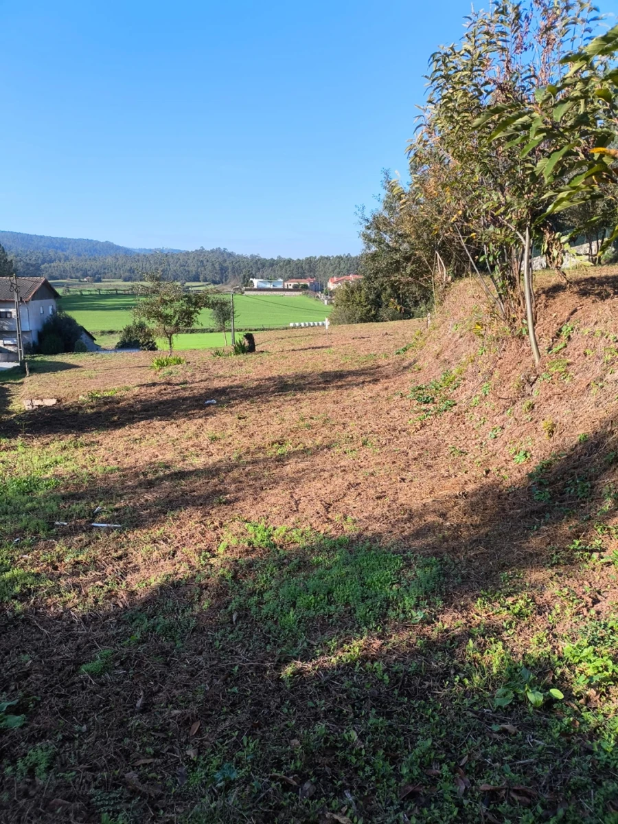 Terreno para Venda em Chorente, Góios, Courel, Pedra Furada e Gueral Foto 12