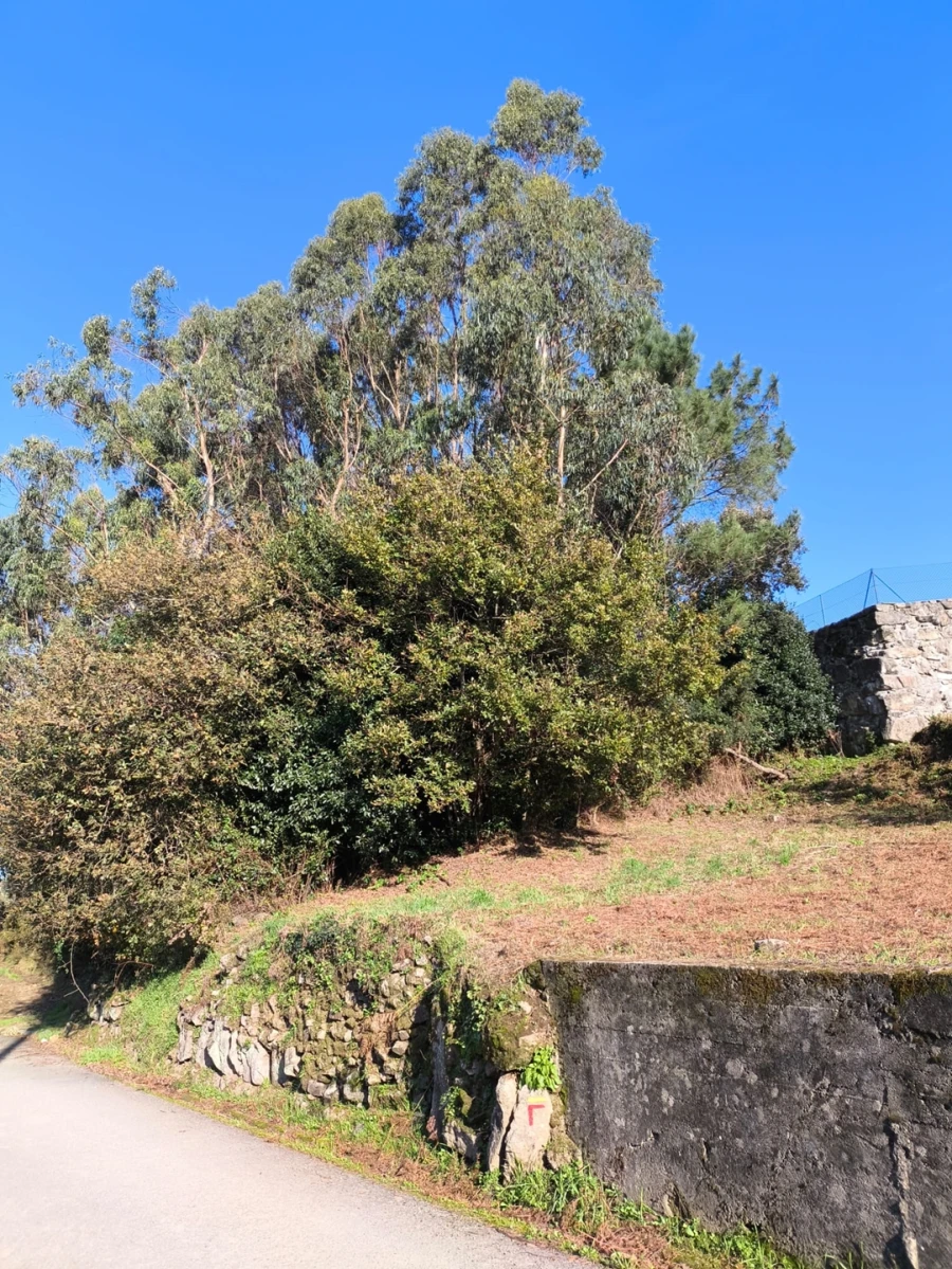 Terreno para Venda em Chorente, Góios, Courel, Pedra Furada e Gueral Foto 13