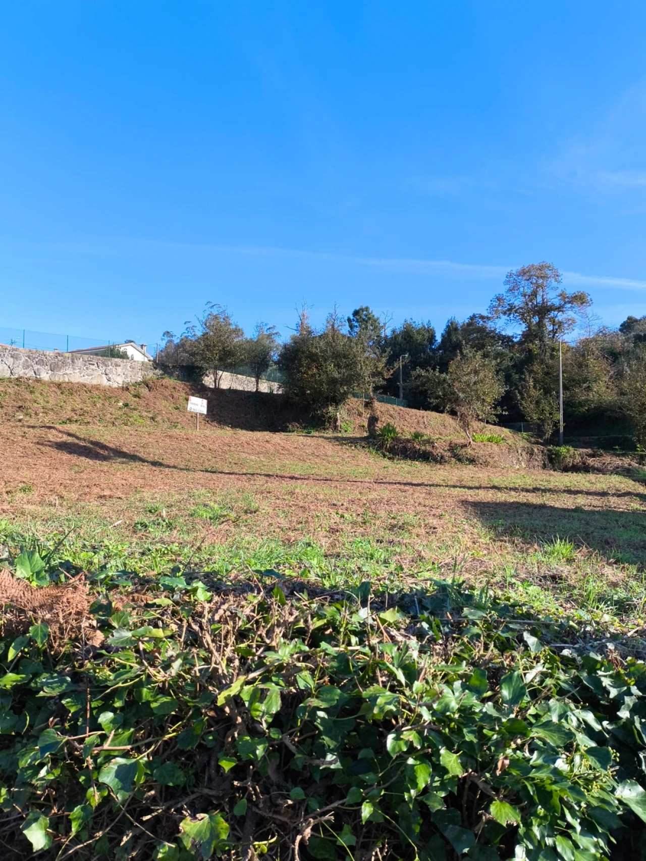 Terreno para Venda em Chorente, Góios, Courel, Pedra Furada e Gueral Foto 19