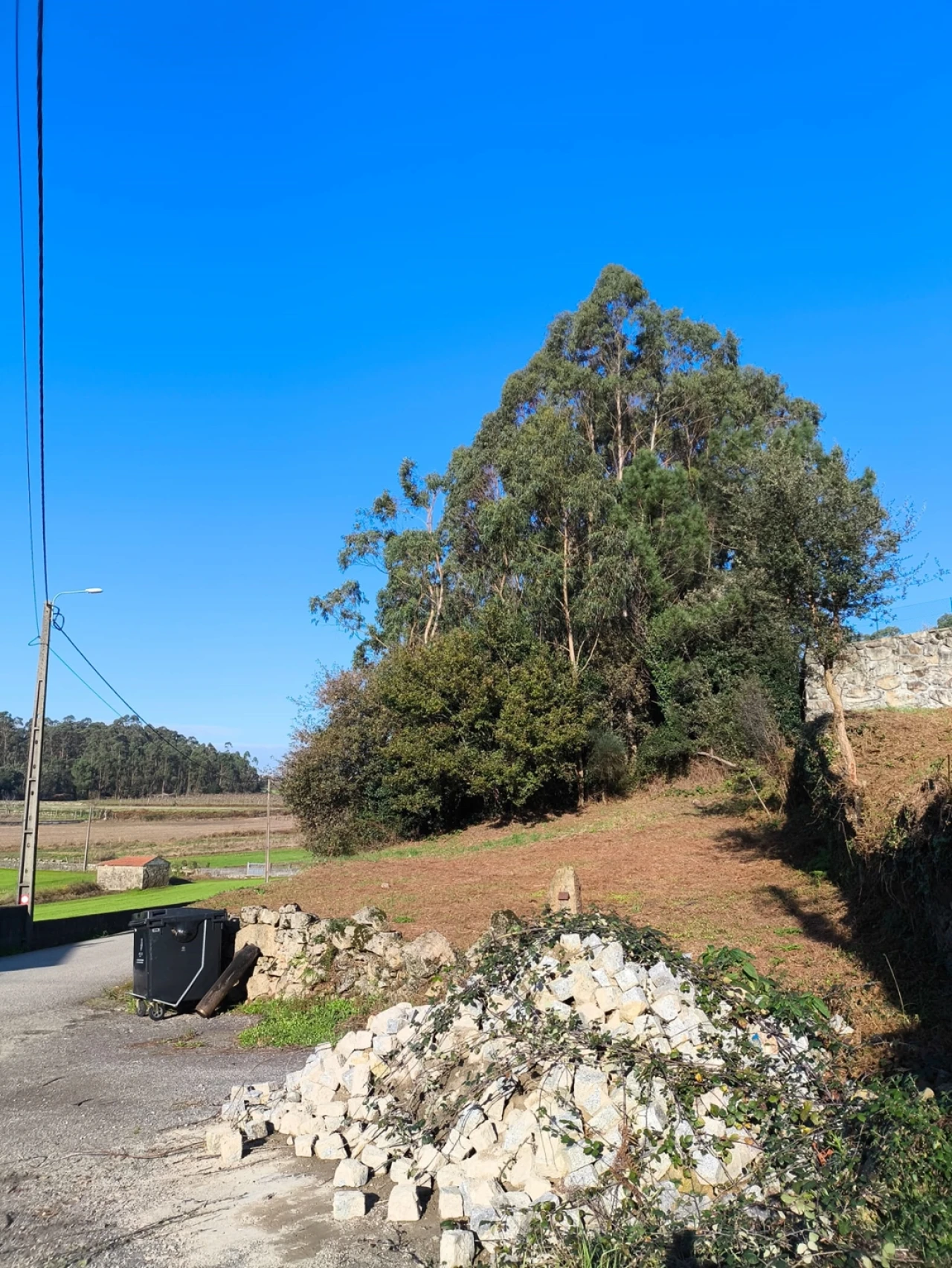Terreno para Venda em Chorente, Góios, Courel, Pedra Furada e Gueral Foto 21