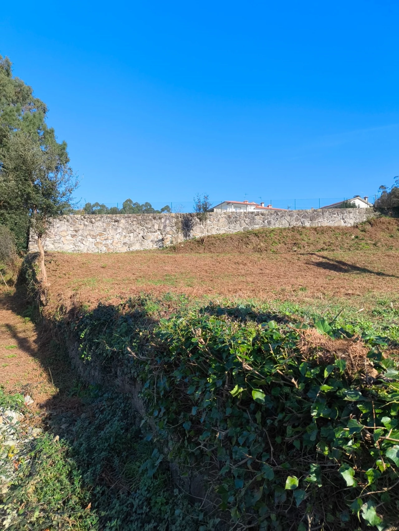 Terreno para Venda em Chorente, Góios, Courel, Pedra Furada e Gueral Foto 5
