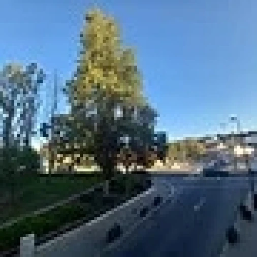 Prédio para Venda em Alcantara Foto 5