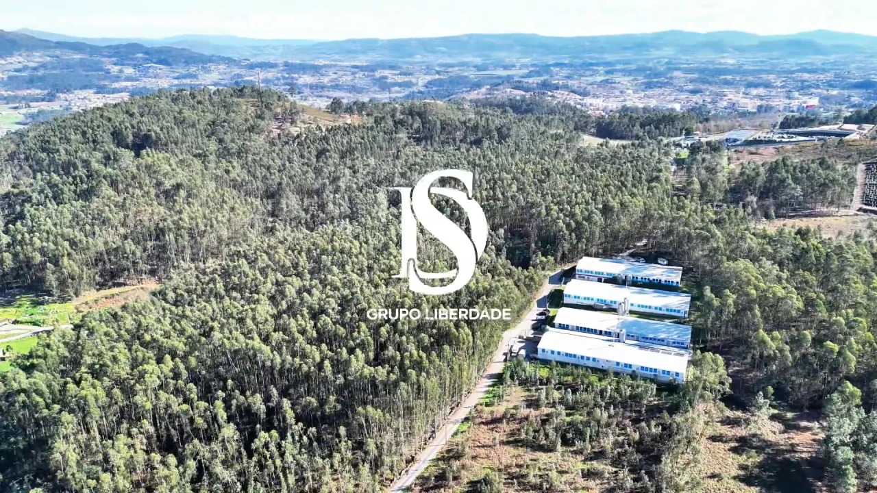 Terreno para Venda em Pico de Regalados, Gondiães e Mós Foto 5