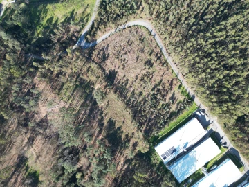 Terreno para Venda em Pico de Regalados, Gondiães e Mós
