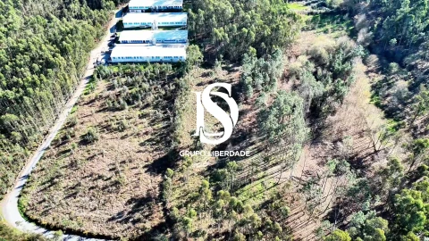 Terreno para Venda em Pico de Regalados, Gondiães e Mós