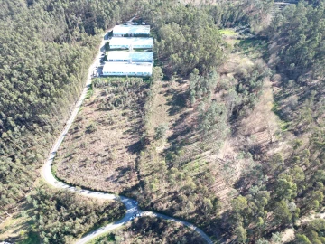 Terreno para Venda em Pico de Regalados, Gondiães e Mós