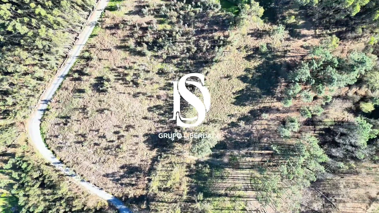Terreno para Venda em Pico de Regalados, Gondiães e Mós Foto 16
