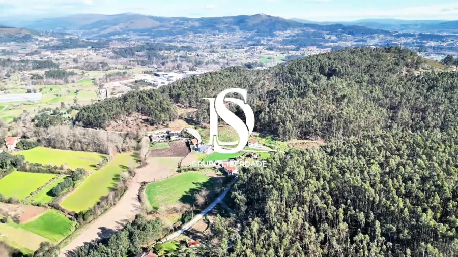 Terreno para Venda em Pico de Regalados, Gondiães e Mós Foto 14
