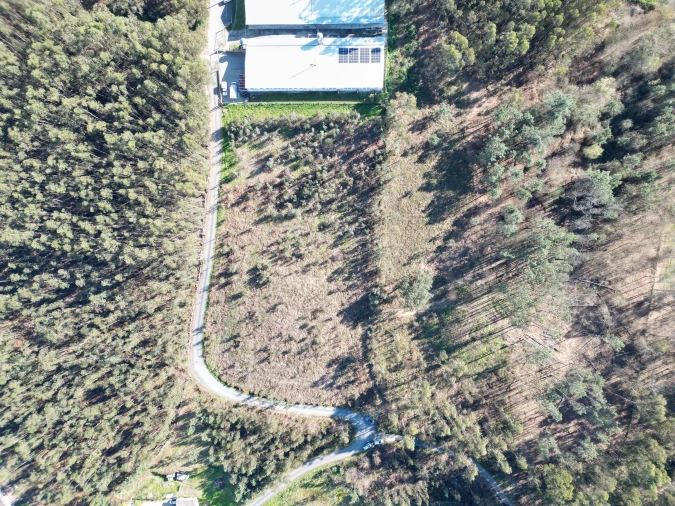 Terreno para Venda em Pico de Regalados, Gondiães e Mós Foto 3