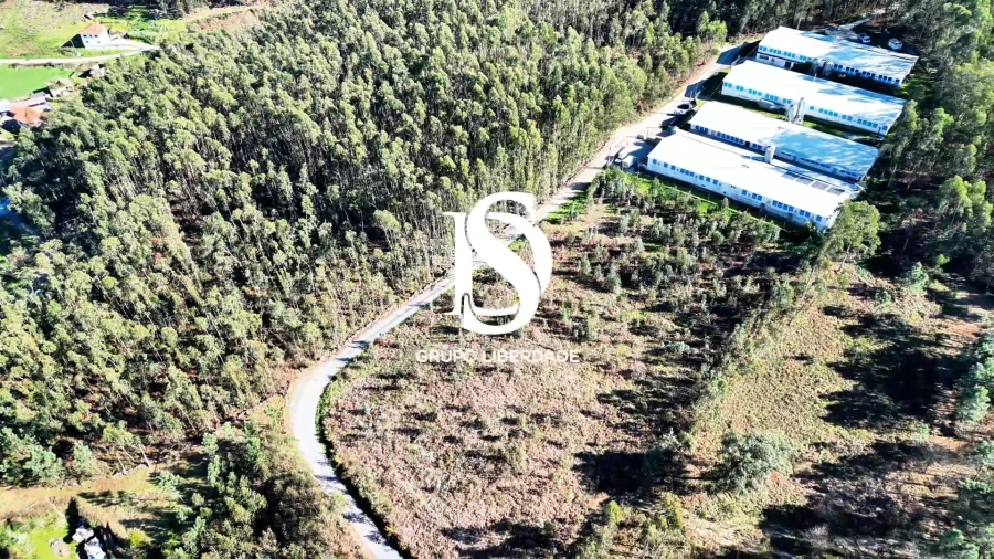 Terreno para Venda em Pico de Regalados, Gondiães e Mós Foto 18