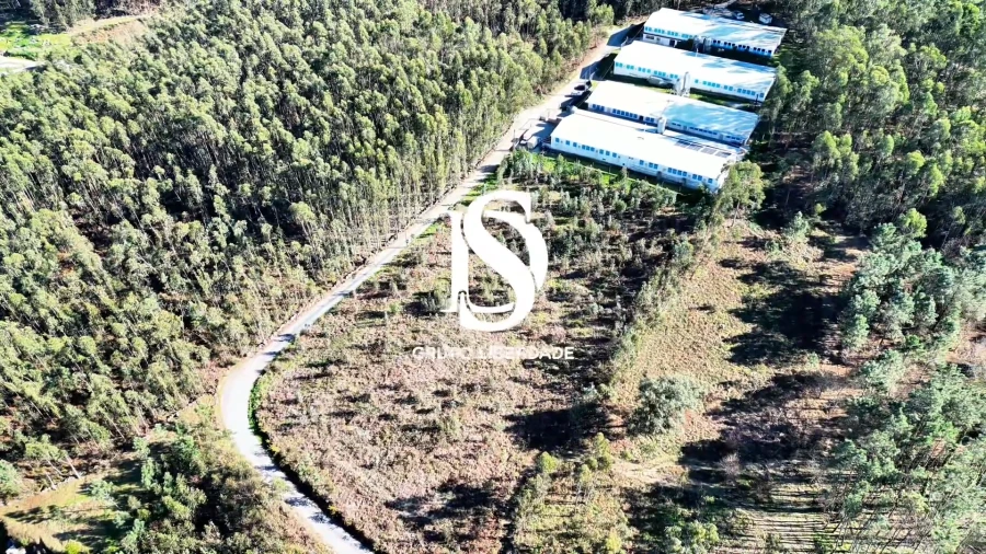 Terreno para Venda em Pico de Regalados, Gondiães e Mós Foto 10