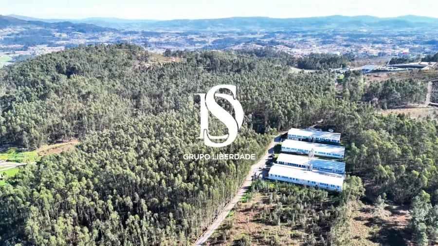 Terreno para Venda em Pico de Regalados, Gondiães e Mós Foto 15