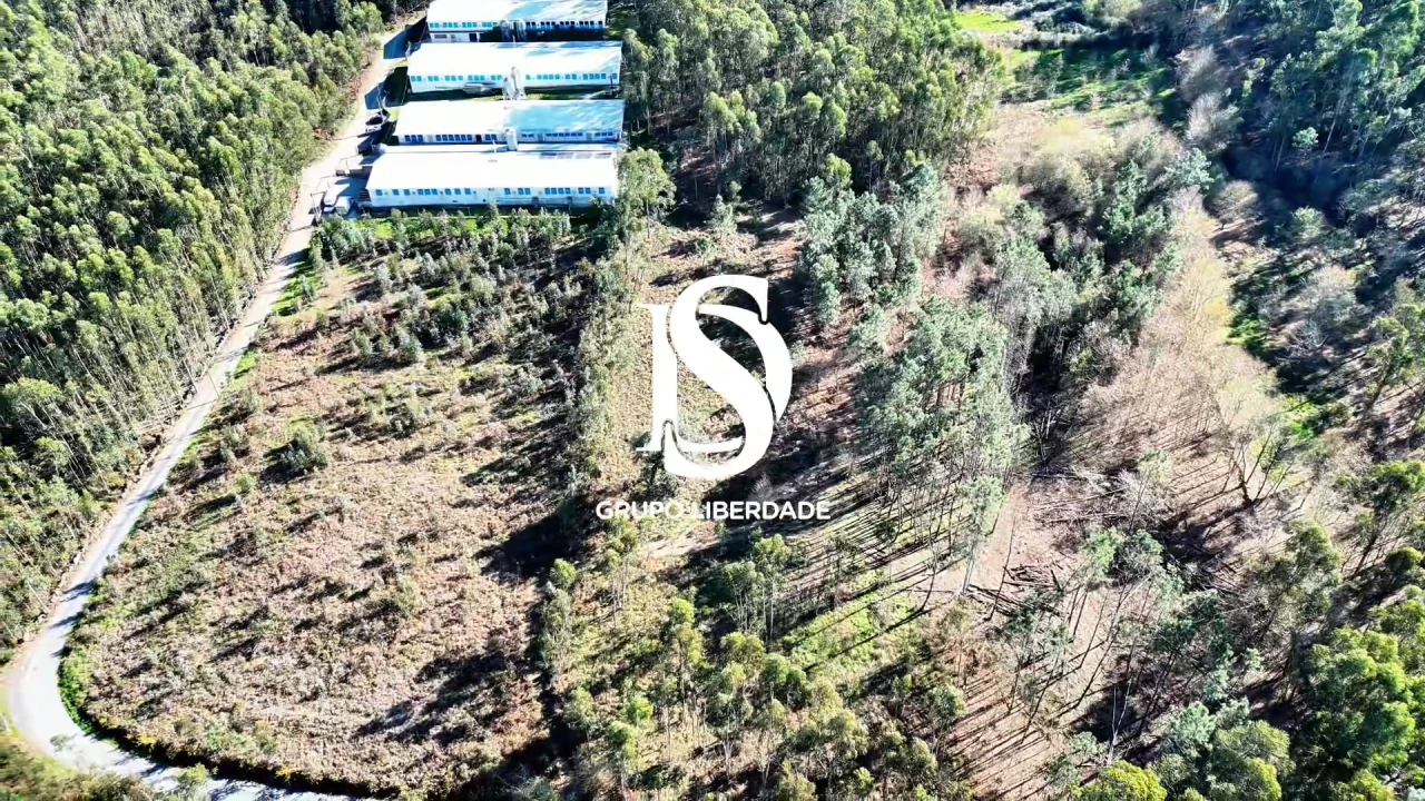 Terreno para Venda em Pico de Regalados, Gondiães e Mós Foto 20