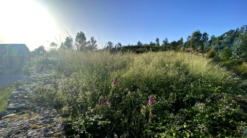 Terreno para Venda em Santo Tirso, Couto (Santa Cristina e São Miguel) e Burgães