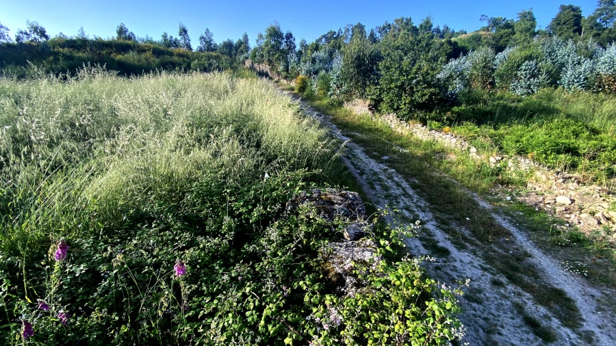 Terreno para Venda em Santo Tirso, Couto (Santa Cristina e São Miguel) e Burgães Foto 7