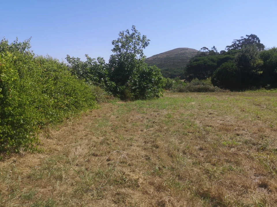 Terreno para Venda em Malveira e São Miguel de Alcainça Foto 15
