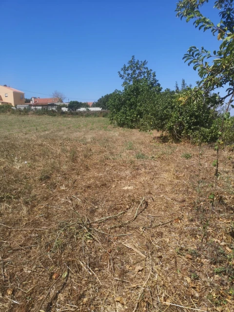 Terreno para Venda em Malveira e São Miguel de Alcainça