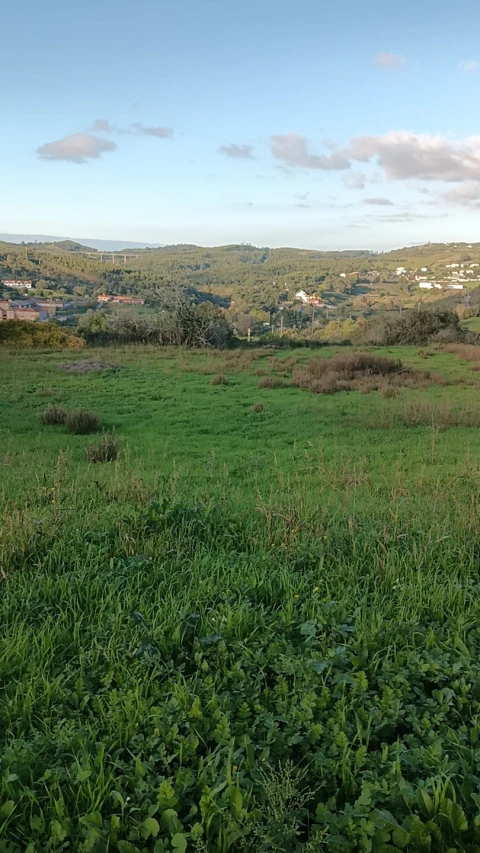 Terreno para Venda em Malveira e São Miguel de Alcainça