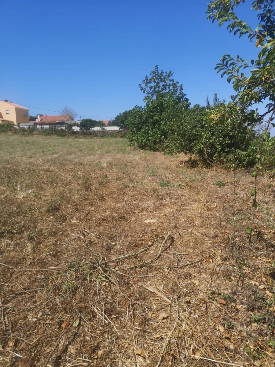Terreno para Venda em Malveira e São Miguel de Alcainça Foto 11