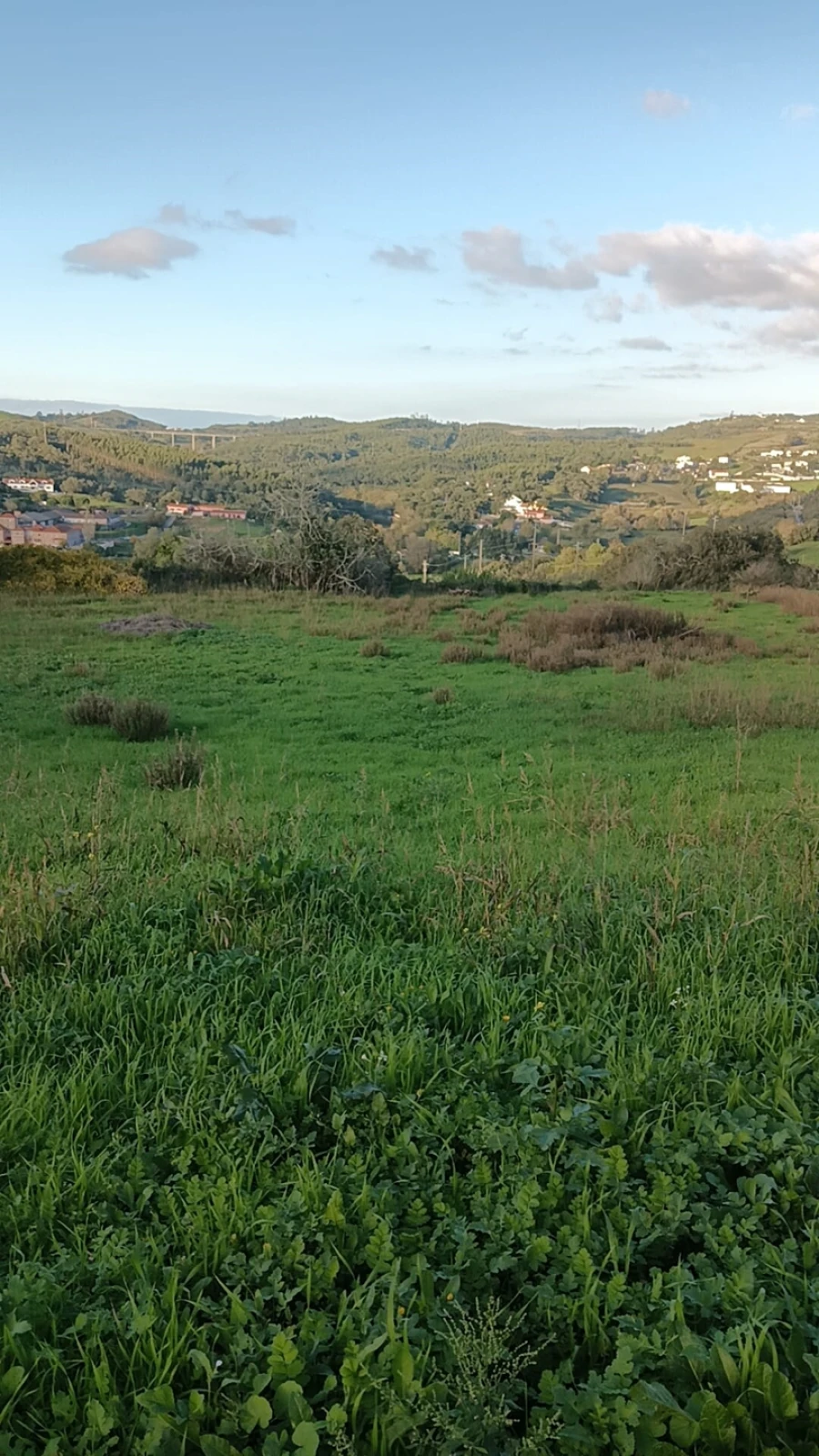 Terreno para Venda em Malveira e São Miguel de Alcainça Foto 3