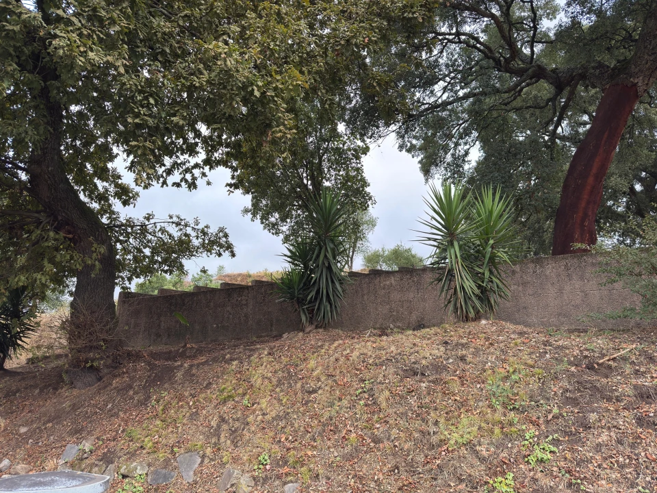 Terreno para Venda em São Vicente (Braga) Foto 28