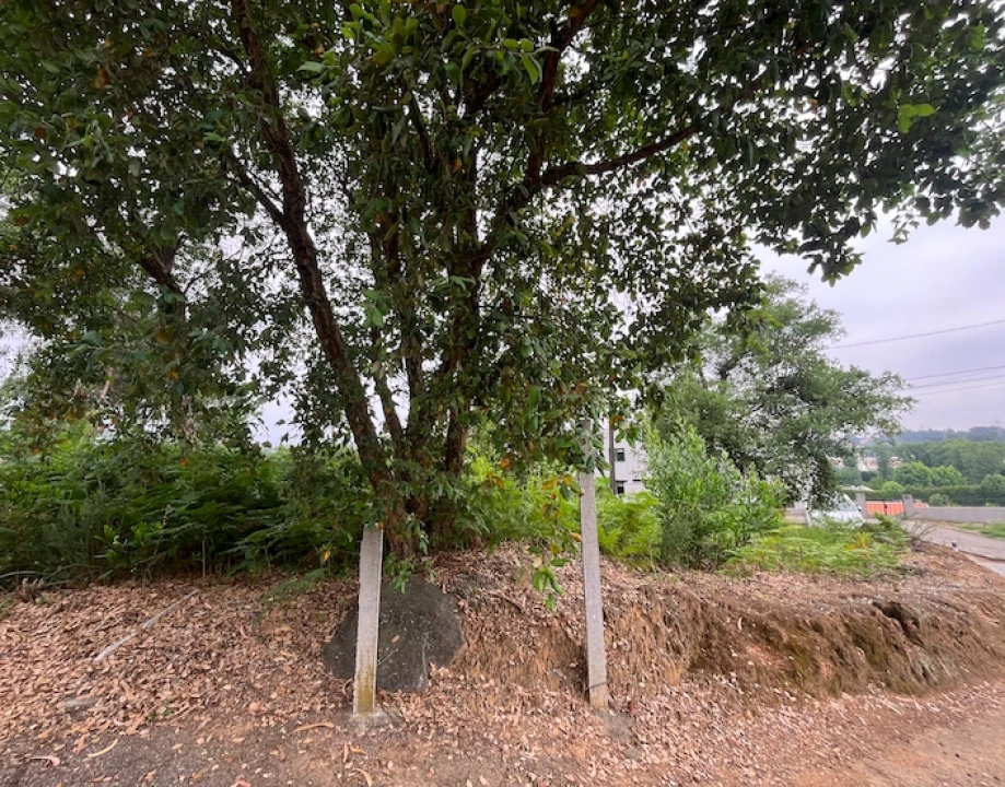 Terreno para Venda em Serzedo e Perosinho Foto 10