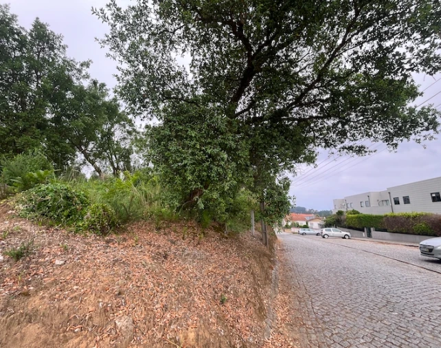 Terreno para Venda em Serzedo e Perosinho Foto 11