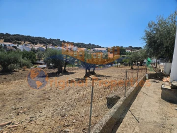 Moradia T4 para Venda em Arraiolos