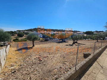 Moradia T4 para Venda em Arraiolos
