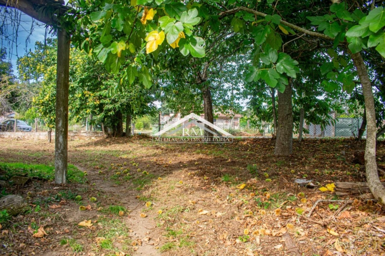 Terreno para Venda em Cerdal Foto 3