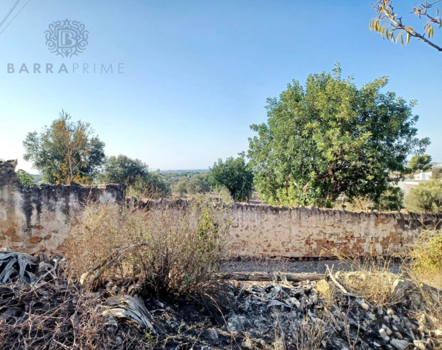Terreno para Venda em Boliqueime Foto 7