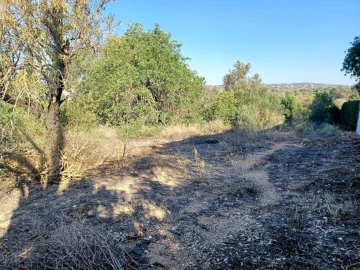 Terreno para Venda em Boliqueime