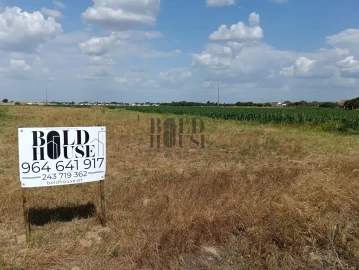 Terreno para Venda em Salvaterra de Magos e Foros de Salvaterra