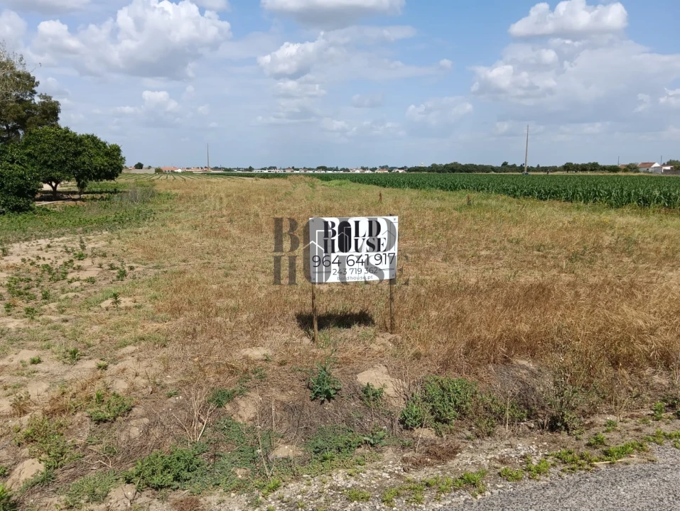 Terreno para Venda em Salvaterra de Magos e Foros de Salvaterra Foto 5