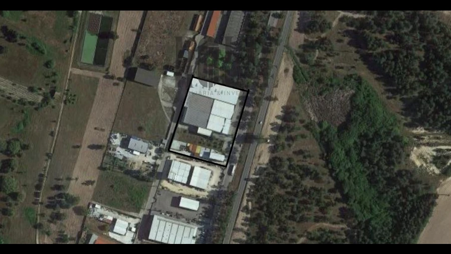 Armazém para Venda em Muge