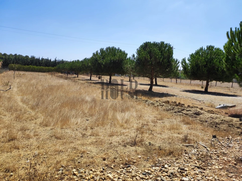 Terreno para Venda em Pontevel Foto 3