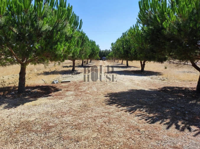 Terreno para Venda em Pontevel Foto 2