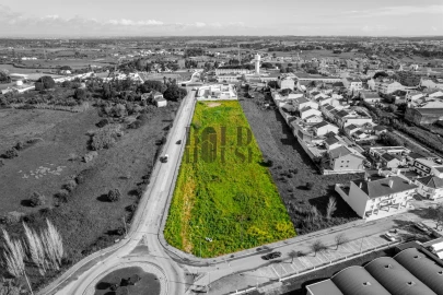 Terreno para Venda em Cartaxo e Vale da Pinta