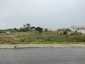 Terreno para Venda em Cartaxo e Vale da Pinta