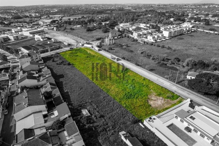 Terreno para Venda em Cartaxo e Vale da Pinta Foto 10