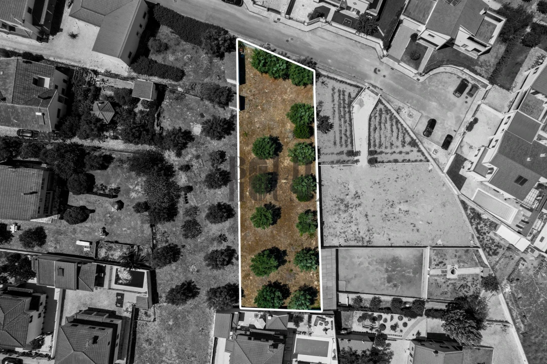 Terreno para Venda em Cartaxo e Vale da Pinta Foto 7