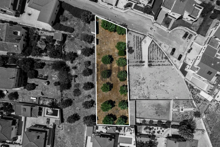 Terreno para Venda em Cartaxo e Vale da Pinta Foto 7