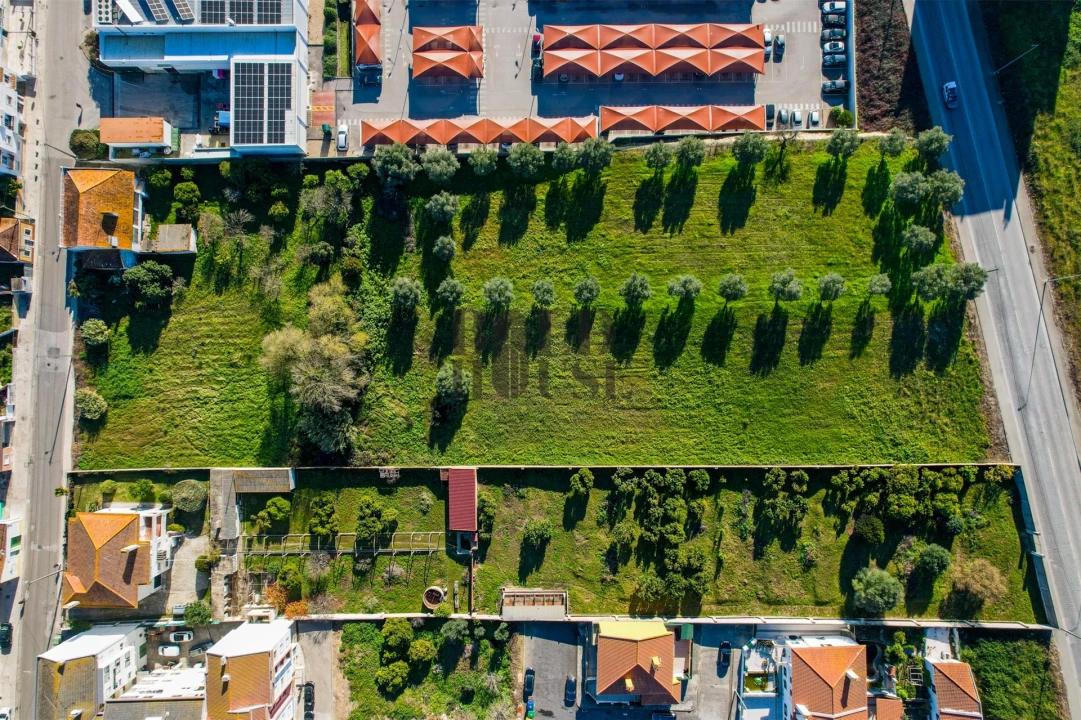 Terreno para Venda em Cartaxo e Vale da Pinta Foto 16